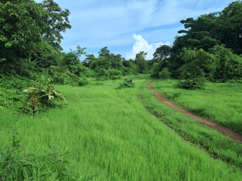 Property for sale in Kankavli, Sindhudurg
