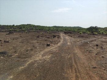 Agricultural/Farm Land for Sale in Kankavli, Sindhudurg (50 Ares)