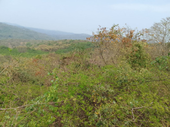 Property for sale in Kankavli, Sindhudurg