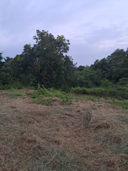 Property for sale in Kudal, Sindhudurg