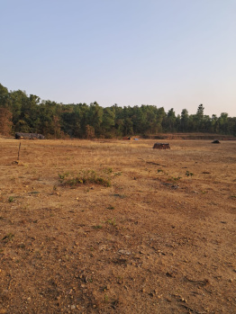 Agricultural/Farm Land for Sale in Kudal, Sindhudurg (25 Acre)