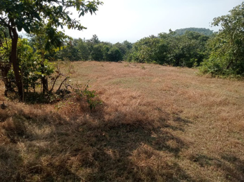 Agriculture land available Sea view Harihareshwer raigad