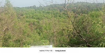 Agriculture land available mhasla taluka raigad