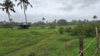 Village adagaon taluka shrivardhan sea view plot