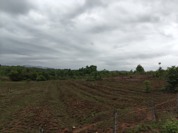 Property for sale in Kudal, Sindhudurg