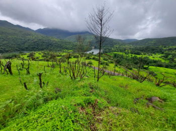 Agriculture land available in vengurla taluka