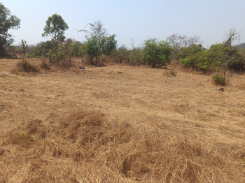 Property for sale in Mangaon, Raigad