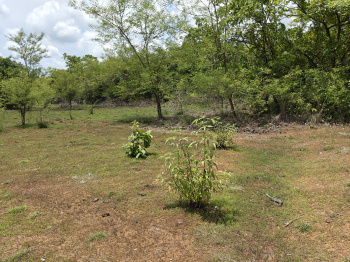 Agriculture land available maharashtra sindhudurga district