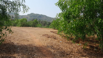 Land available Taluka Vengurla District Sindhudurg