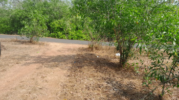 Property for sale in Vengurla, Sindhudurg