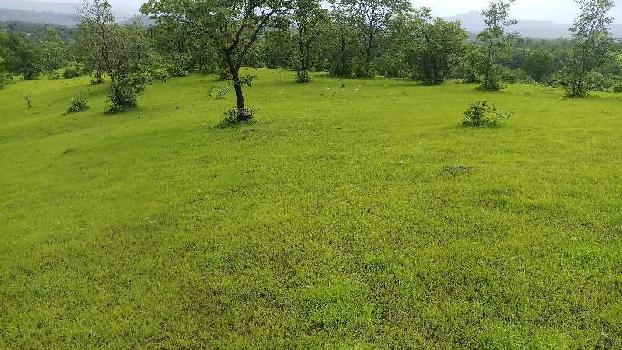 100 Acre Agricultural/Farm Land for Sale in Mahad, Raigad