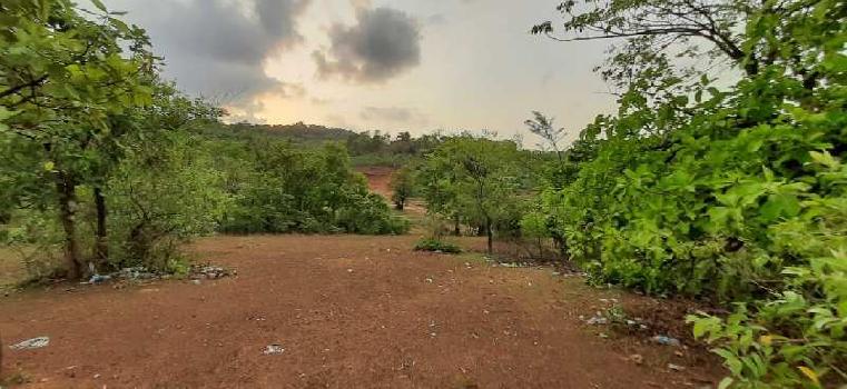 70 Ares Agricultural/Farm Land for Sale in Roha, Raigad