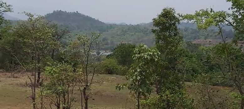 9.5 Ares Agricultural/Farm Land for Sale in Roha, Raigad