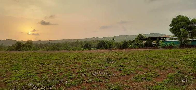 4 Acre Agricultural/Farm Land for Sale in Mangaon, Raigad