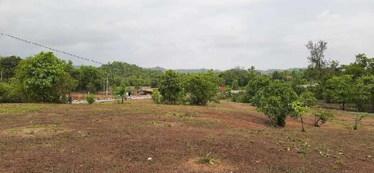 2 Acre Agricultural/Farm Land for Sale in Kankavli, Sindhudurg