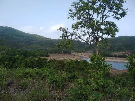 Agricultural land dodamarg taluka