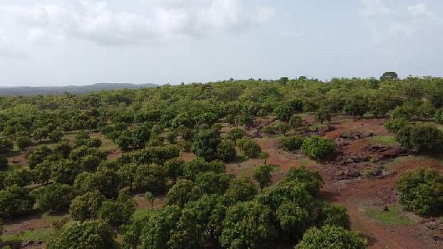 Property for sale in Devgad, Sindhudurg