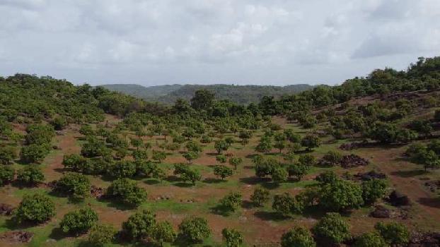 Property for sale in Devgad, Sindhudurg