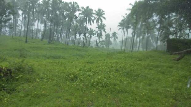 Agricultural Land Village Vadgaon Mangaon Taluka