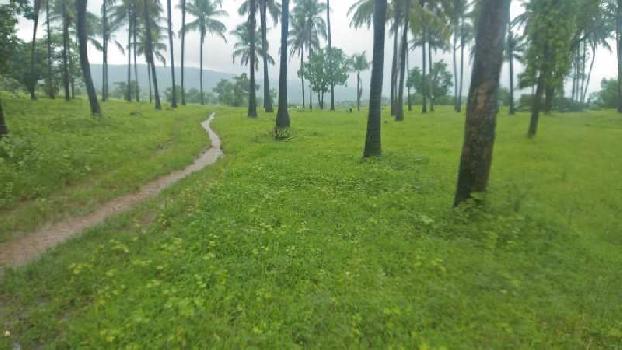 Property for sale in Mangaon, Raigad