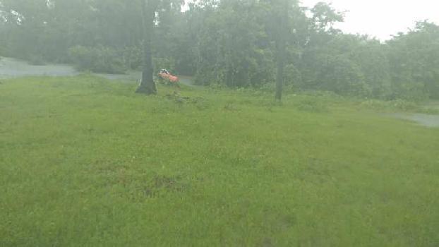 Property for sale in Mangaon, Raigad