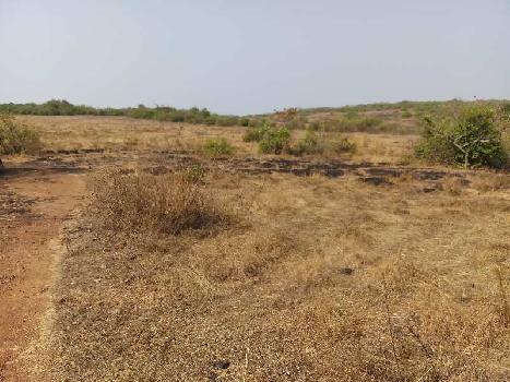 50 Acre Agricultural land available Mandangad Taluka