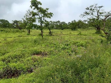 Agricultar land available  tala taluka