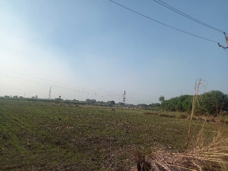 It's a huge agricultur land near by NH 19 highway .