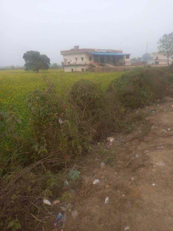 25 Acre Agricultural/Farm Land for Sale in Jait, Vrindavan