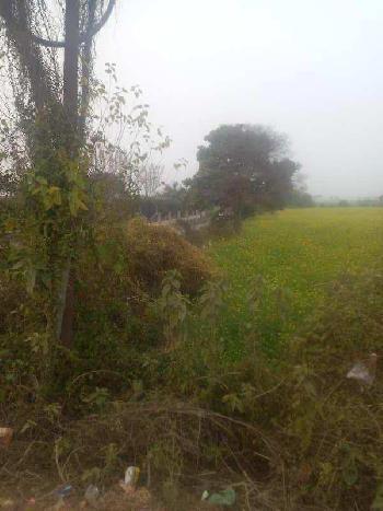 2 Acre Commercial Lands /Inst. Land for Sale in Palwal, Faridabad
