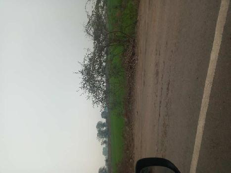 1 Acre Agricultural/Farm Land for Sale in Palwal, Faridabad