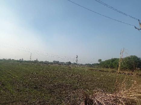 110 Acre Agricultural/Farm Land for Sale in Fatehpur Jat, Delhi