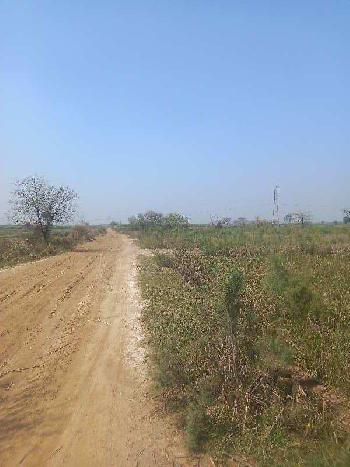 10 Acre Agricultural/Farm Land for Sale in Mandkola, Palwal