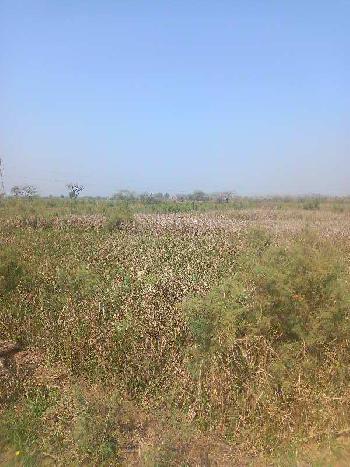 Property for sale in Mandkola, Palwal