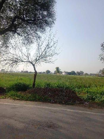 6.5 Acre Agricultural/Farm Land for Sale in Hathin, Palwal
