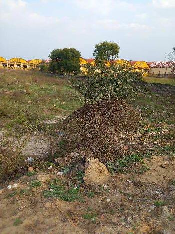 1 Acre Industrial Land / Plot for Sale in Ballabhgarh, Faridabad