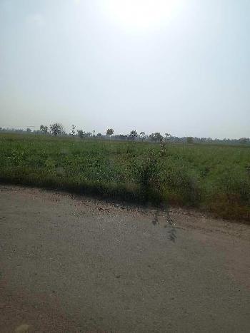 7500 Sq. Yards Commercial Lands /Inst. Land for Sale in Bamni Khera, Palwal
