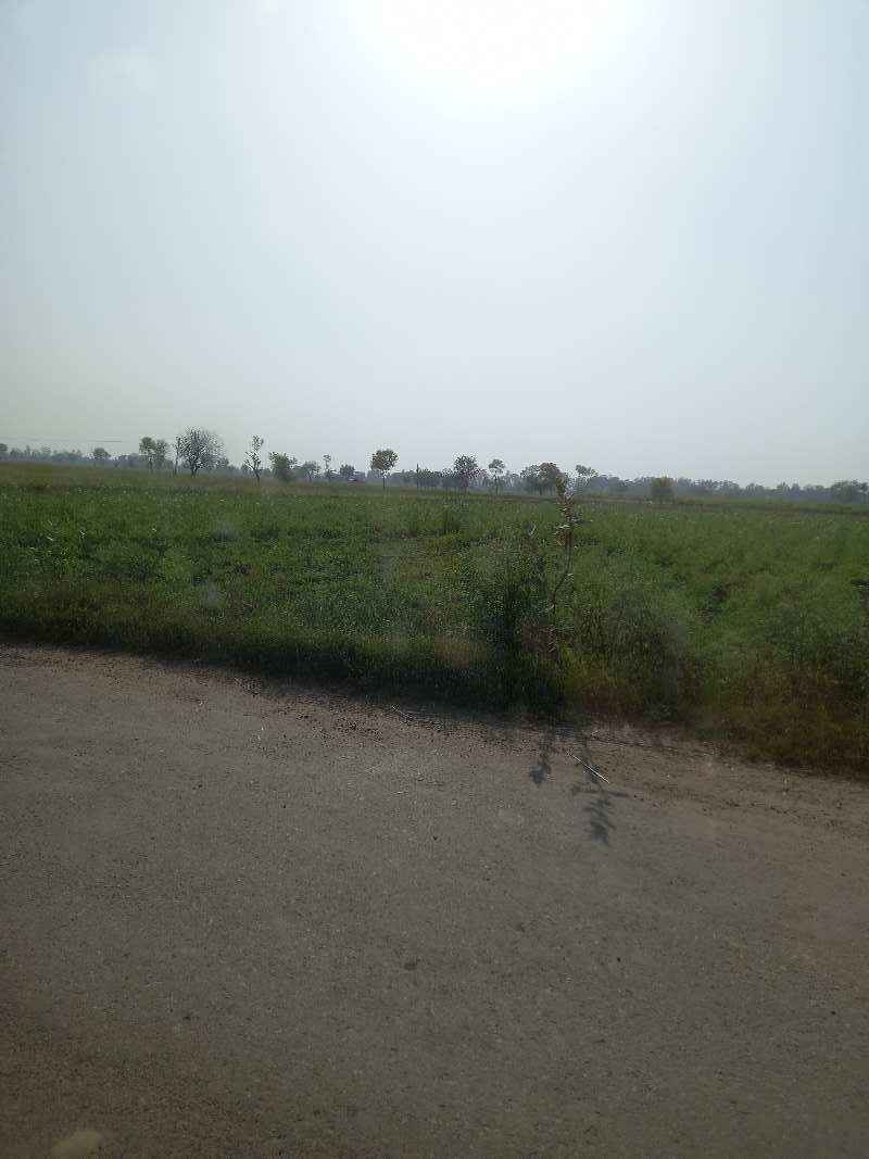7500 Sq. Yards Commercial Lands /Inst. Land for Sale in Bamni Khera, Palwal