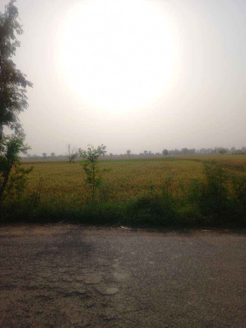 3.5 Acre Agricultural/Farm Land for Sale in Palwal, Faridabad