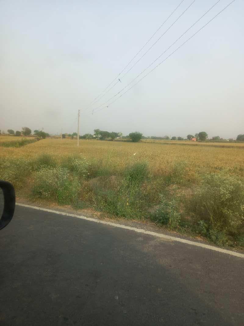 20 Acre Industrial Land / Plot for Sale in Palwal, Faridabad