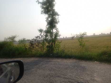 3.5 Acre Agricultural/Farm Land for Sale in Kushak, Palwal