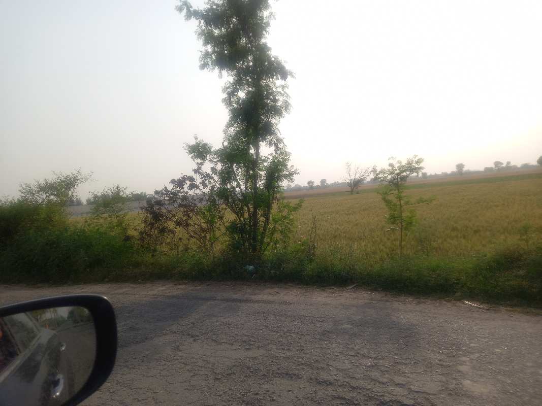 3.5 Acre Agricultural/Farm Land for Sale in Kushak, Palwal