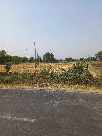 3500 Sq. Yards Agricultural/Farm Land for Sale in Chirawata, Palwal