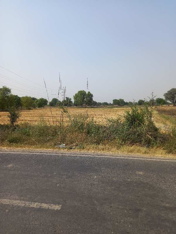 22 Acre Agricultural/Farm Land for Sale in Palwal, Faridabad