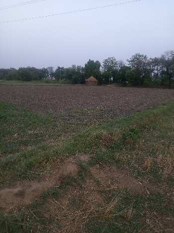 4 Acre Agricultural/Farm Land for Sale in Sunrakh Road, Vrindavan