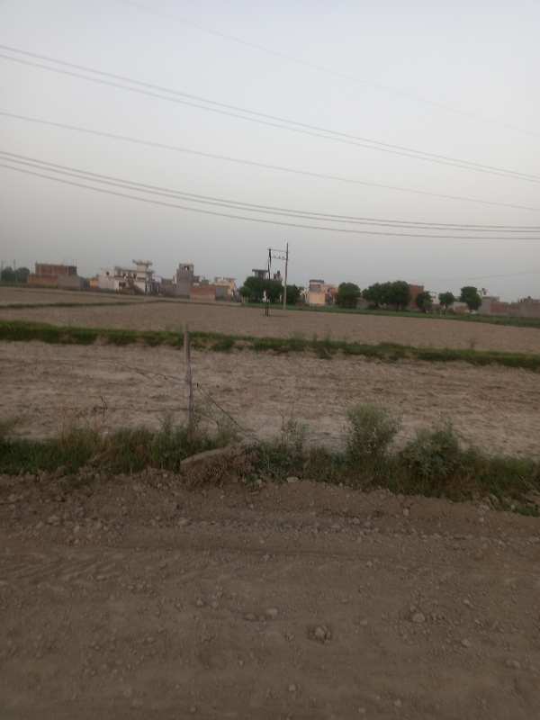 100 Sq. Yards Residential Plot for Sale in Palwal, Faridabad