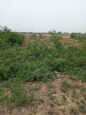 Commercial Plot on Highway palwal