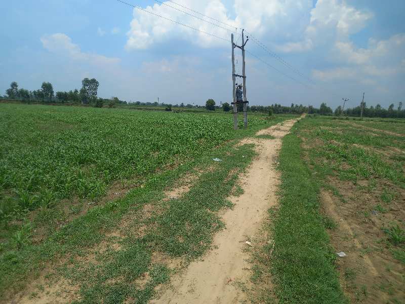4 Acre Agricultural/Farm Land for Sale in Palwal