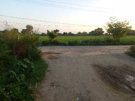 9 Acre Agricultural/Farm Land for Sale in Hathin, Palwal