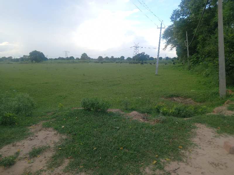 25 Acre Agricultural/Farm Land for Sale in Teekri Brahman, Palwal